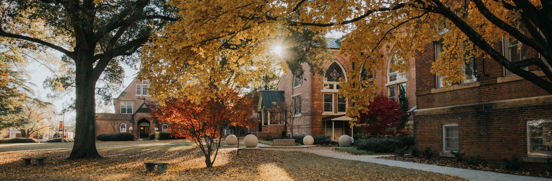 colorful autumn leaves on Mercer's macon campus