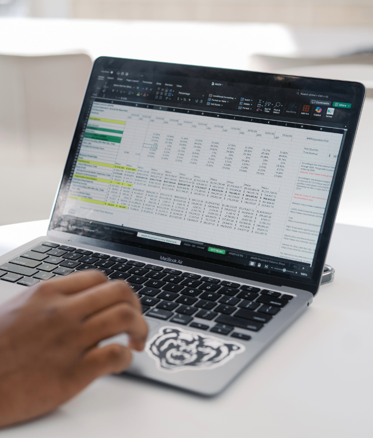 excel sheet displayed on laptop